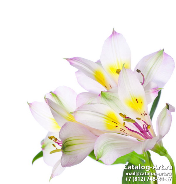 Натяжные потолки с фотопечатью - Белые цветы 25